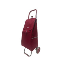 Carro de compra de 2 ruedas plegables Bornova DOVELIS