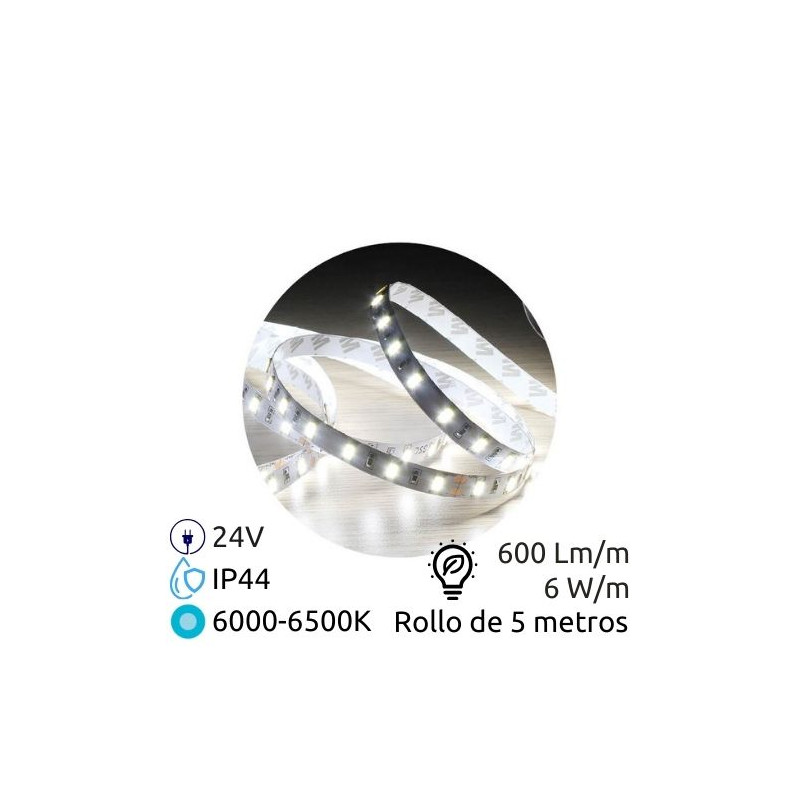 Tira LED 5m 24V 6w/m 6000-6500K 600Lm Ancho 8mm SMD 2835 IP44 GSC C1/50