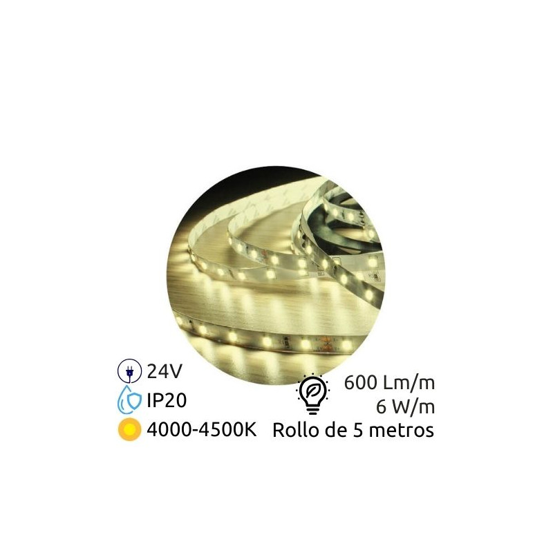 Tira LED 5m 24V 6w/m 4000-4500K 600Lm Ancho 8mm SMD 2835 IP20 GSC C1/60