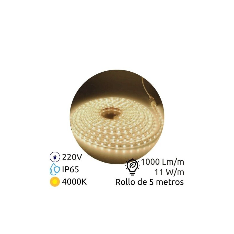 Kit tira LED 5m 220V 11w/m 4000K 1000Lm Ancho 12mm Cable de alimentación incluido IP65 PRO SILVER C1