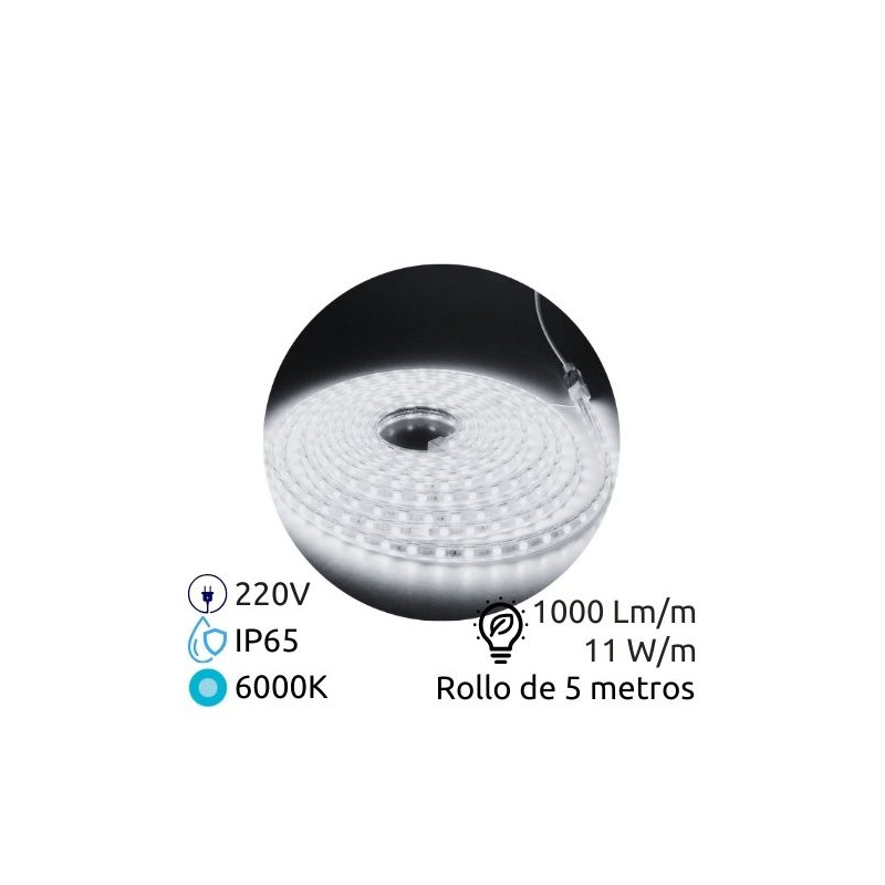 Kit tira LED 5m 220V 11w/m 6000K 1000Lm Ancho 12mm Cable de alimentación incluido IP65 PRO SILVER C1