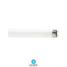 Tubo Fluorescente T8 15w 6500K 750Lm 437mm CLAR C25