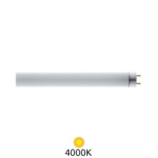 Tubo Fluorescente T8 18w 4000k 1300 lm 60 cm LUMILUX OSRAM ÚLTIMAS UNIDADES