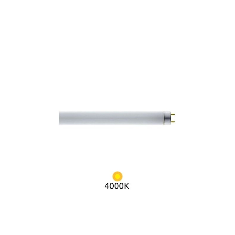 Tubo Fluorescente T8 18w 4000k 1300 lm 60 cm LUMILUX OSRAM ÚLTIMAS UNIDADES