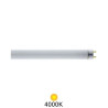 Tubo Fluorescente T8 18w 4000k 1300 lm 60 cm LUMILUX OSRAM ÚLTIMAS UNIDADES