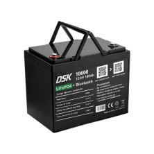 Batería de Litio LiFePO4 12,8v 100 Ah  (Largo 260 x Ancho 168 x Alto 210mm) DSK