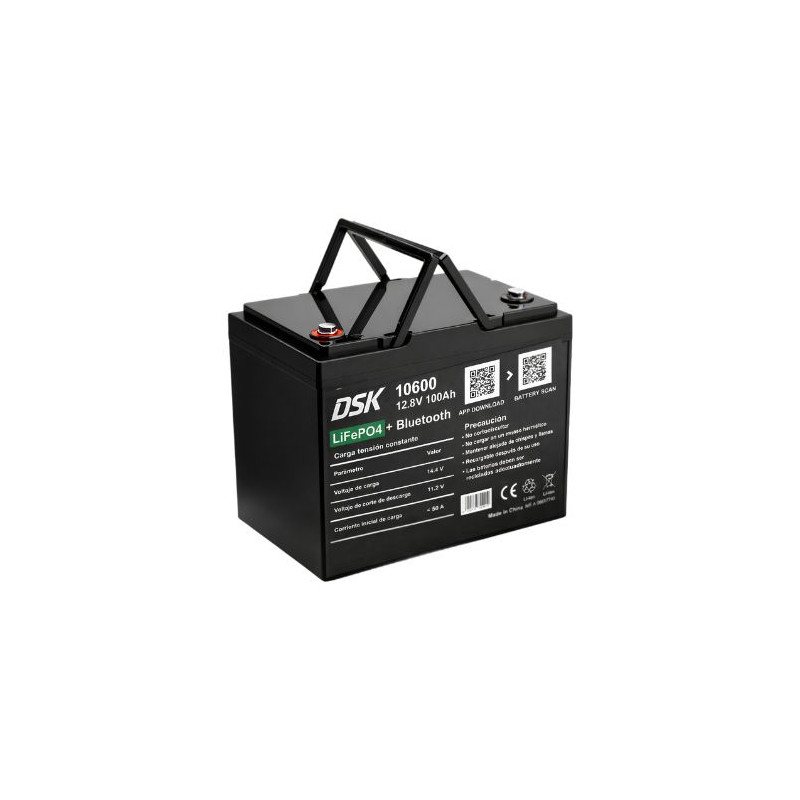 Batería de Litio LiFePO4 12,8v 100 Ah  (Largo 260 x Ancho 168 x Alto 210mm) DSK