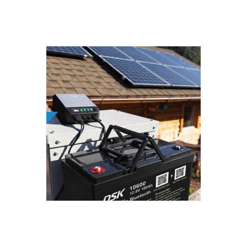 Batería de Litio LiFePO4 12,8v 100 Ah  (Largo 260 x Ancho 168 x Alto 210mm) DSK