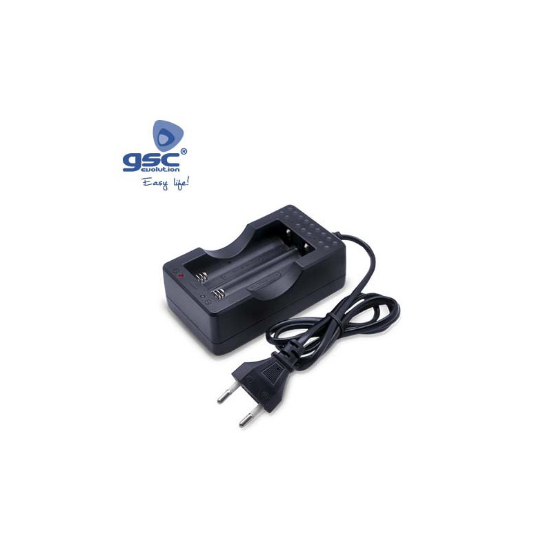 Cargador para 2 pilas de litio CR18650 GSC C1/100