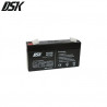 Batería de Plomo 6v 1,3 Ah (Largo 97 x Ancho 24 x Alto 52mm) DSK