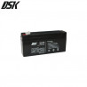 Batería de Plomo 6v 3,2 Ah DSK