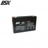Batería de Plomo 6v 7 Ah (Largo 151 x Ancho 34 x Alto 94mm) DSK