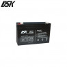 Batería de Plomo 6v 12 Ah DSK