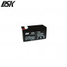 Batería de Plomo 12v 1,3 Ah DSK