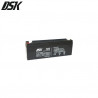 Batería de Plomo 12v 2,3 Ah DSK