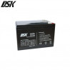 Batería de Plomo 12v 12 Ah DSK