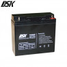 Batería de Plomo 12v 17 Ah GEL indicado para movilidad (Largo 181 x Ancho 76 x Alto 167mm) DSK