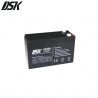 Batería de Plomo 12v 6 Ah Alta Descarga UPS-Indicado para SAIs(Largo 151 x Ancho 50 x Alto 96mm) DSK