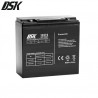 Batería de Plomo 12v 20 Ah AGM Sellada VRLA Ciclo Profundo (Largo 181 x Ancho 77 x Alto 170mm) DSK