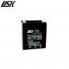 Batería de Plomo 12v 5 Ah (Largo 90 x Ancho 70 x Alto 101mm) DSK