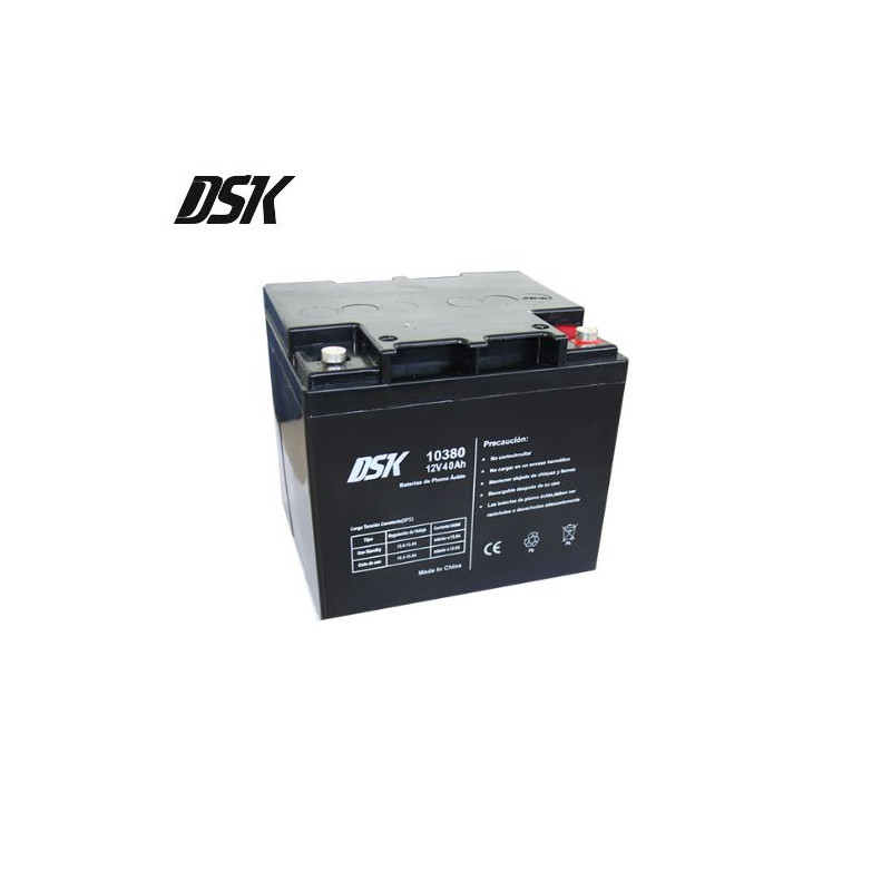 Batería de Plomo 12v 40 Ah (Largo 197 x Ancho 165 x Alto 170mm) DSK