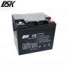 Batería de Plomo 12v 40Ah DSK