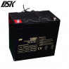 Batería de Plomo 12v 55 Ah GEL Ciclo Profundo (Largo 229 x Ancho 138 x Alto 208mm) DSK
