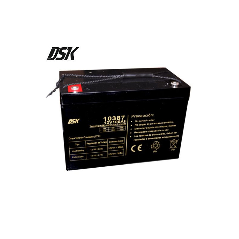 Batería de Plomo 12v 100 Ah GEL Ciclo Profundo (Largo 330 x Ancho 171 x Alto 219m) DSK