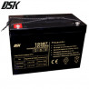 Batería de Plomo 12v 100 Ah GEL Ciclo Profundo (Largo 330 x Ancho 171 x Alto 219m) DSK