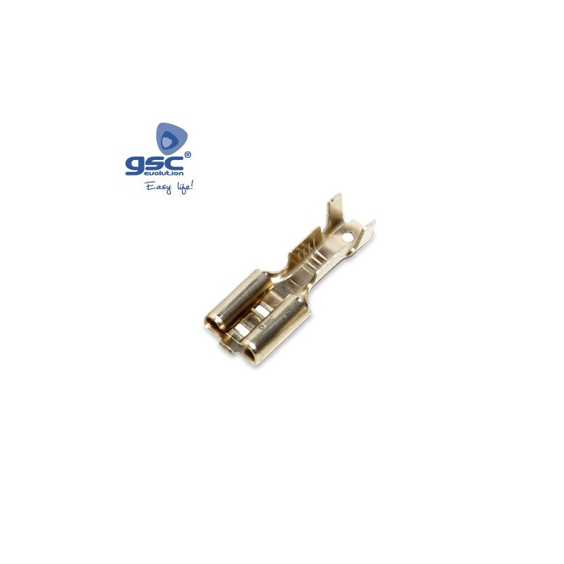 Terminal faston macho de 6,3mm Bolsa 50 unidades GSC