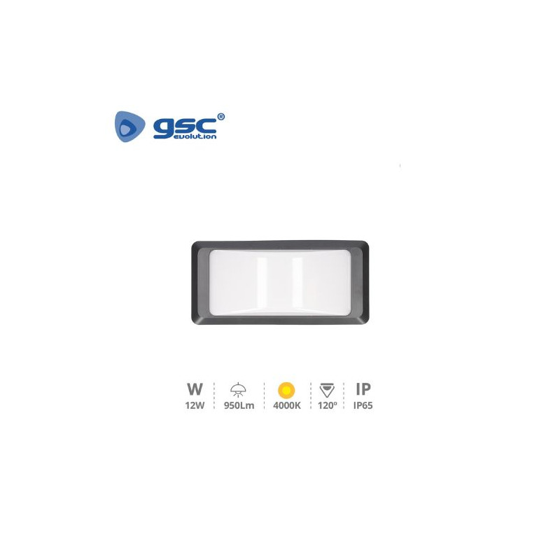 Aplique de pared LED 12w 4000K 950Lm Exterior Gris Antracita ANTHE Plástico ABS+PC IP65 GSC C1/20