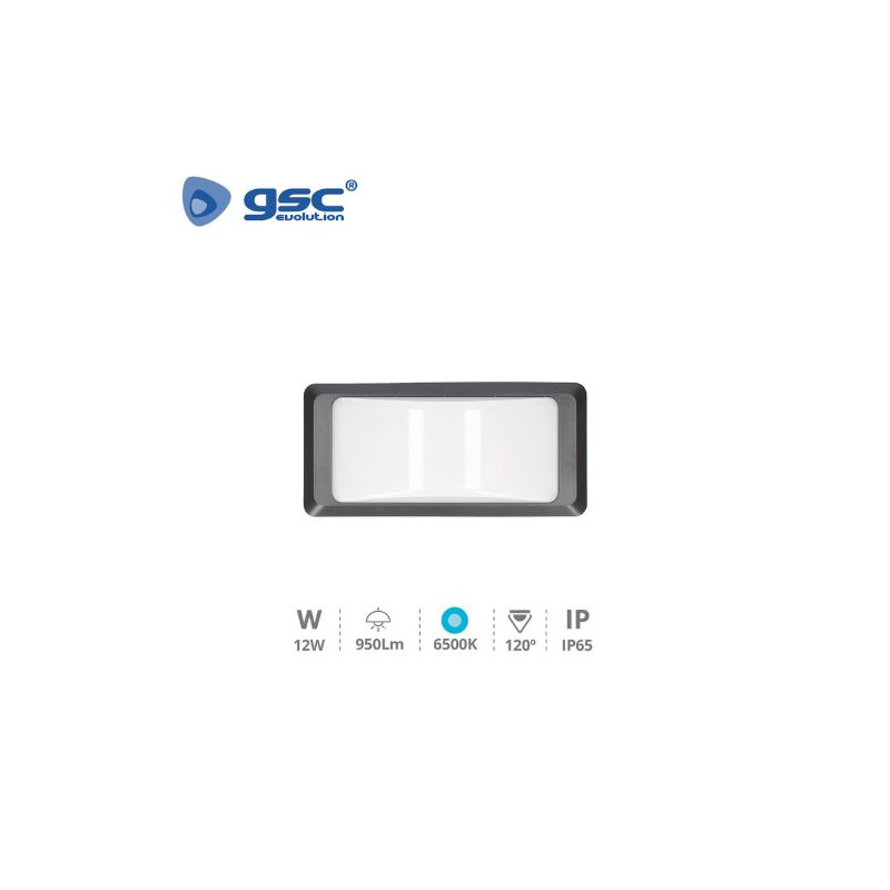 Aplique de pared LED 12w 6500K 950Lm Exterior Gris Antracita ANTHE Plástico ABS+PC IP65 GSC C1/20