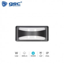 Aplique de pared LED 12w 6500K 600Lm Exterior Gris Antracita ANTHE Plástico ABS+PC IP65 GSC C1/20