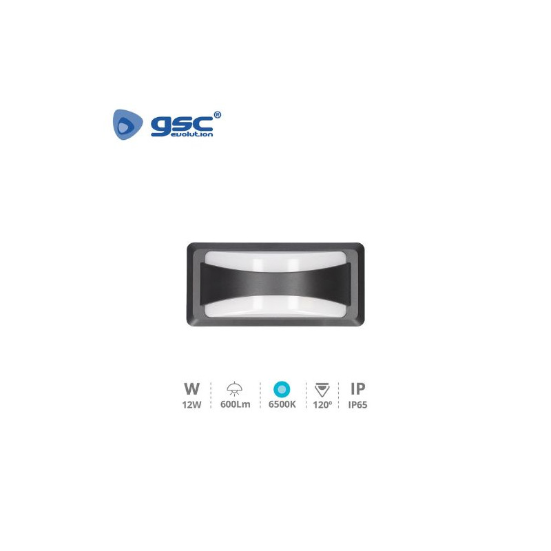 Aplique de pared LED 12w 6500K 600Lm Exterior Gris Antracita ANTHE Plástico ABS+PC IP65 GSC C1/20