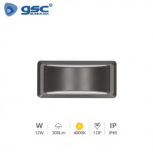 Aplique de pared LED 12w 4000K 300Lm Exterior Gris Antracita ANTHE Plástico ABS+PC IP65 GSC C1/20