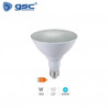 Bombilla PAR38 LED 18W E27 6000K 1800Lm IP65 GSC C5/30