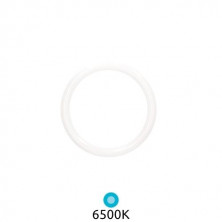 Tubo LED Circular G10q 15w 6500k 1500Lm Diámetro 215x30mm GSC C1/10