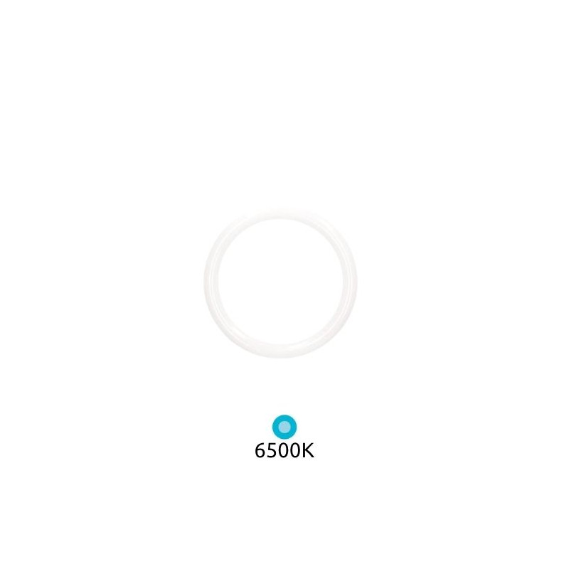 Tubo LED Circular G10q 15w 6500k 1500Lm Diámetro 215x30mm GSC
