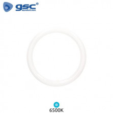 Tubo LED Circular G10q 20w 6500K 1600Lm Diámetro 300x30mm Lisala GSC C1/10