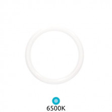 Tubo LED Circular G10q 30w 6500k 3200Lm Diámetro 400x30mm GSC