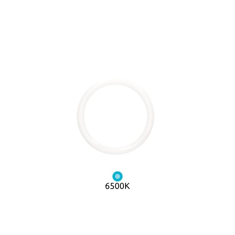 Tubo LED Circular G10q 30w 6500k 3200Lm Diámetro 400x30mm GSC
