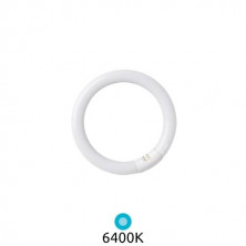 Tubo Fluorescente T9 Circular 22w 6400K Diámetro 216x29mm Trifosforo GSC C1/20