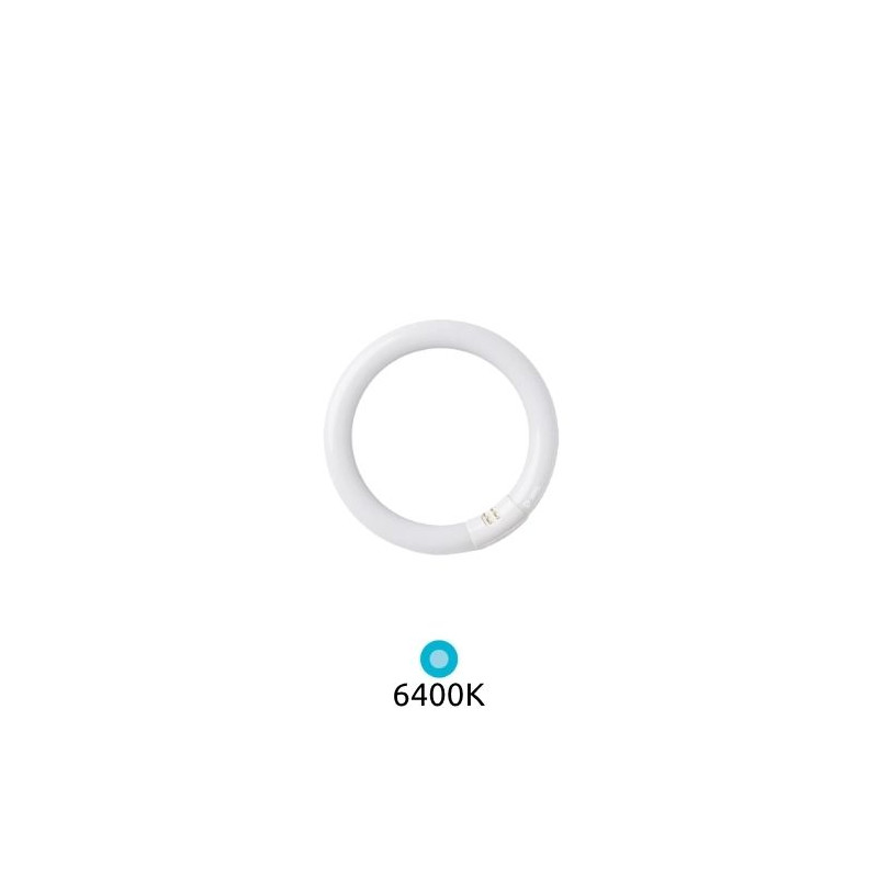 Tubo Fluorescente T9 Circular 22w 6400K Diámetro 216x29mm Trifosforo GSC C1/20