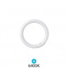 Tubo Fluorescente T9 Circular 22w 6400K Diámetro 216x29mm Trifosforo GSC C1/20