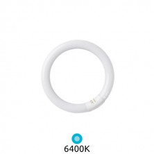 Tubo Fluorescente T9 Circular 32w 6400K Diámetro 305x32mm Trifosforo GSC C1/20