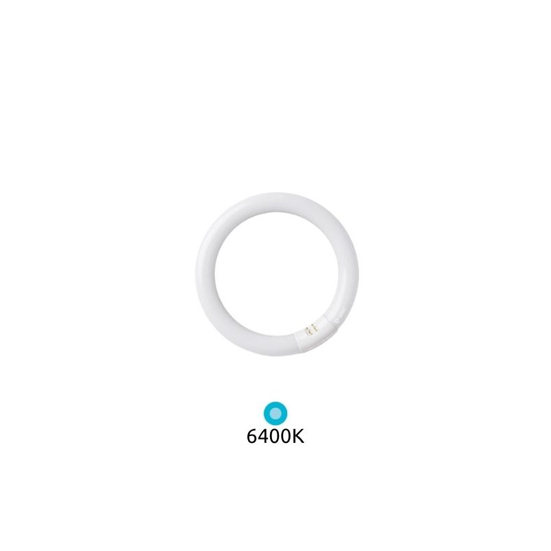 Tubo Fluorescente T9 Circular 32w 6400K Diámetro 305x32mm Trifosforo GSC C1/20