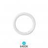 Tubo Fluorescente T9 Circular 32w 6400K Diámetro 305x32mm Trifosforo GSC C1/20