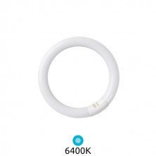 Tubo Fluorescente T9 Circular 40w 6400k Diámetro 406x32mm Trifosforo GSC C1/20