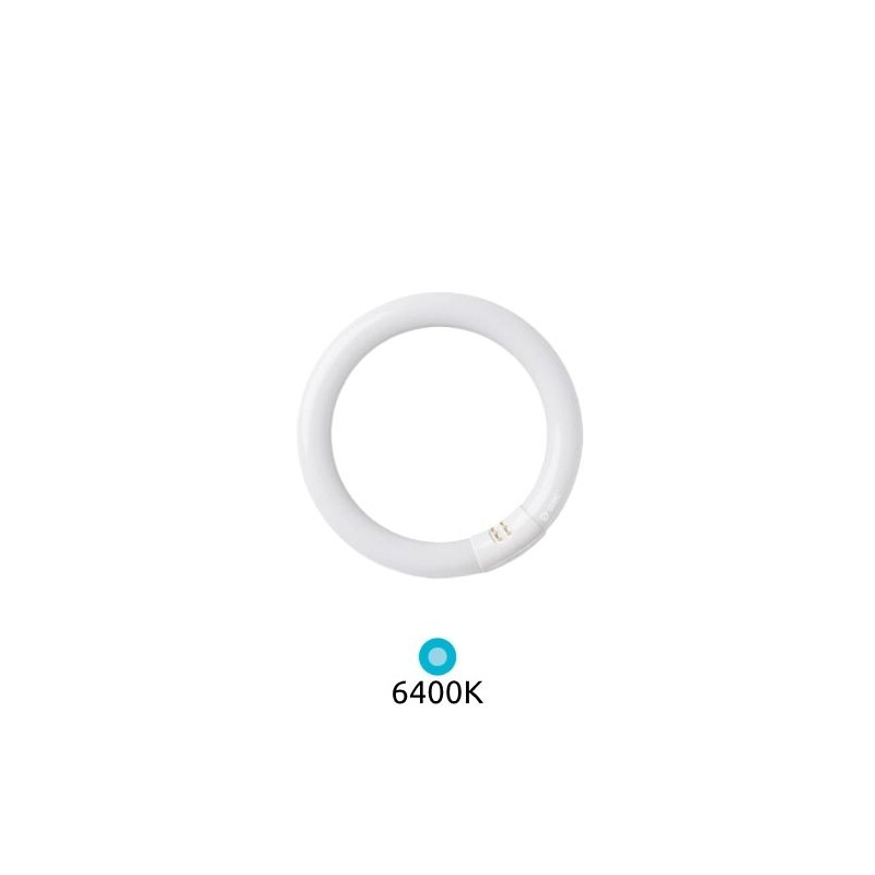 Tubo Fluorescente T9 Circular 40w 6400k Diámetro 406x32mm Trifosforo GSC C1/20