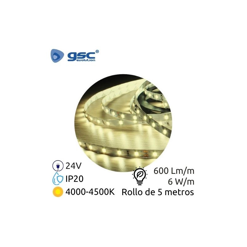 Tira LED 5m 24V 6w/m 4000-4500K 600Lm Ancho 8mm SMD 2835 IP20 GSC C1/60